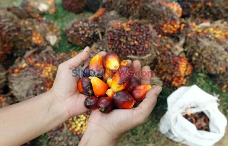 16 Invensi Hasil Studi GRS 2021-2023, Lebih dari Separo Siap Hilirisasi!