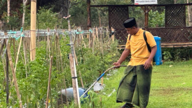 Berkat Inovasi Rencana Eco-edufarming, PHE WMO Kembali Raih PROPER Emas 2024