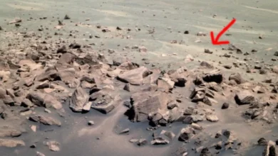 Mobil Luar Angkasa NASA Rekam Penampakan Alien Tic Tac