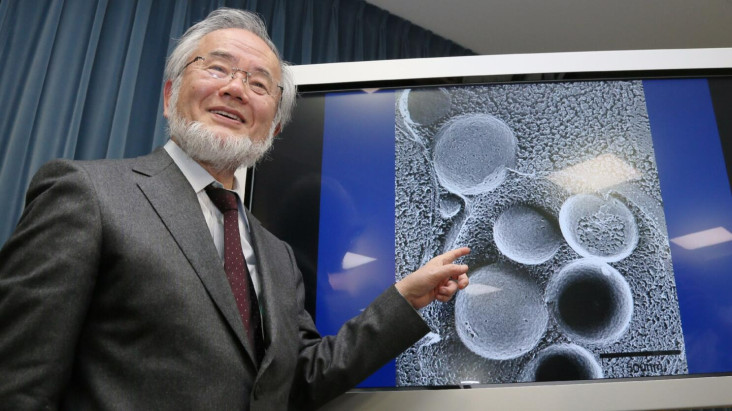 Profil Yoshinori Ohsumi, Peneliti Negeri Sakura yang tersebut Mendapat Nobel pasca Meneliti Manfaat Puasa