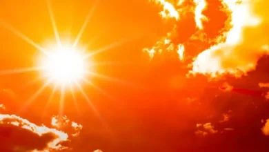 Suhu Panas di dalam tempat Australia Akan Semakin Membara hingga 2050