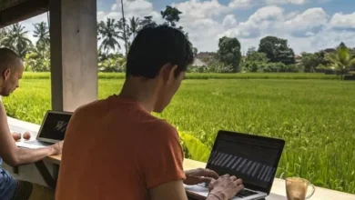Tak belaka belaka PNS, Pegawai BUMN juga Boleh WFA per 24 Maret 2025