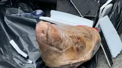 Teror Kepala Babi kemudian Bangkai Tikus ke Tempo, Iwakum: Kebebasan Pers Sedang Terancam