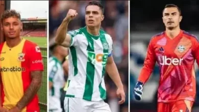 Tok! DPR Setuju Permohonan Naturalisasi Emil Audero, Dean James, lalu Joey Pelupessy