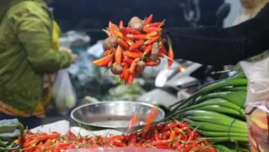 Update Harga Pangan Hari Mingguan 9 Maret 2025, Bawang, Cabai dan juga Beras Masih Naik