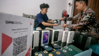 Apa yang yang dimaksud dimaksud iPhone inter, juga apa bedanya dengan versi iBox?