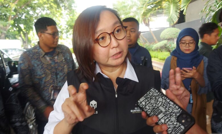 Wamenekraf duga pengembang lokal terlibat pada fenomena Koin Jagat