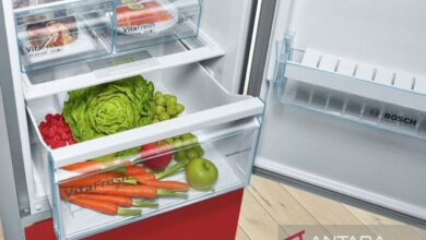 Sederet makanan yang tersebut sebaiknya tak disimpan ke “freezer”