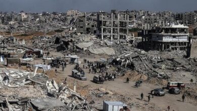 FAO peringatkan Wilayah Daerah Gaza terancam kelaparan juga sektor pertanian hancur