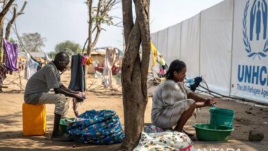 Komisi HAM: Korban tewas serangan di Al-Nahud Sudan bertambah jadi 300