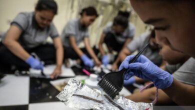 Mengenal bonus demografi, kegunaan juga tantangannya